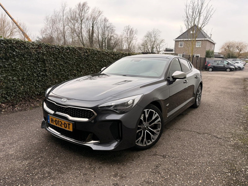 49197588-1